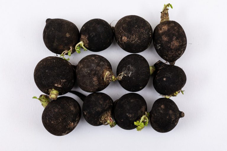 The Benefits of Black Radish_5