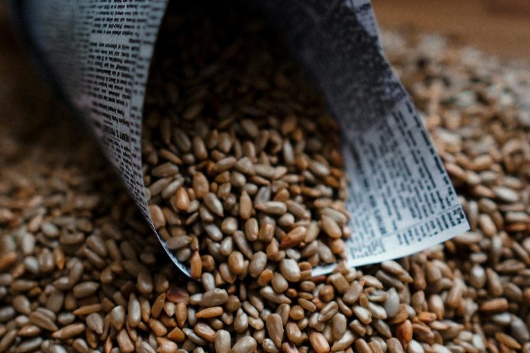 Healthiest Seeds_5